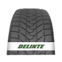 Delinte Winter WD1