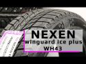 Nexen Winguard Ice Plus Xl